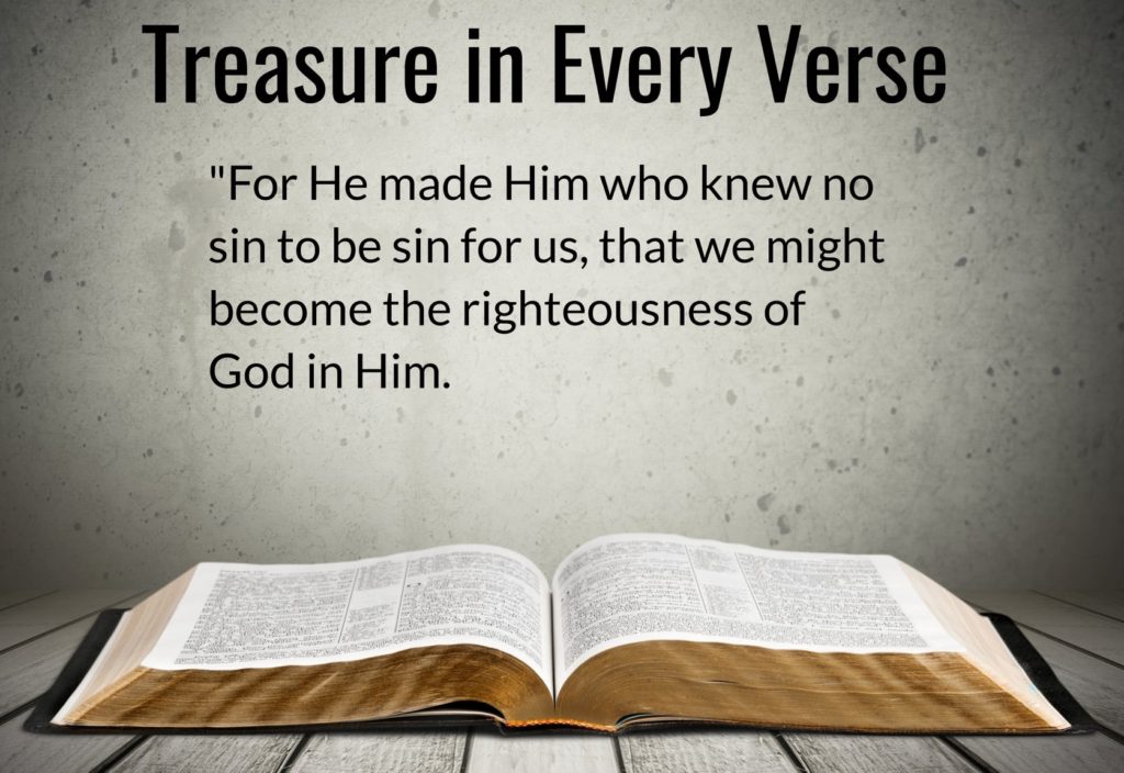 Treasure in Every Verse Ministry